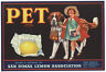 *Original* PET St. Bernard Dog Girl San Dimas Lemon Crate Label NOT A COPY!