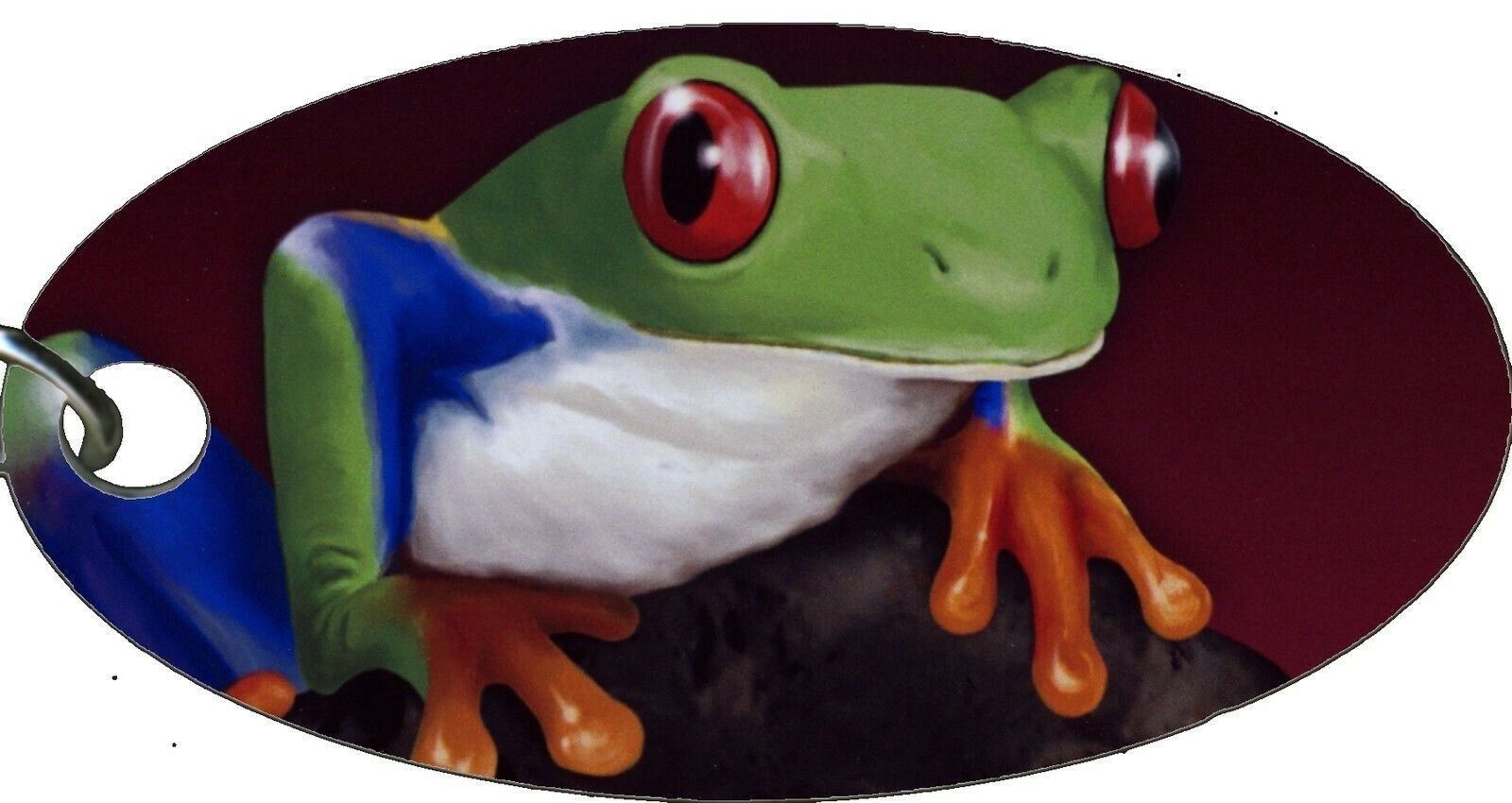 Tree Frog Green Toad Amphibian Stylish Aluminum Oval Keychain Key Chain New Cool