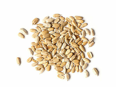Organic Sunflower Seeds — Hulled, Non-gmo, Unsalted, Kosher - By Food To Live