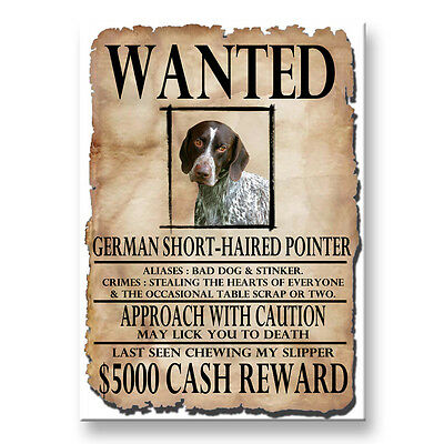 GERMAN S/H POINTER Wanted Poster FRIDGE MAGNET New DOG